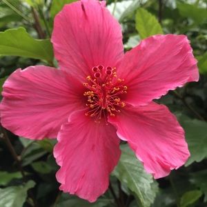 Meet your Posher, Gabby